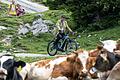 Im August 2023 war Bayerns Innen- und Sportminister Joachim Herrmann im Chiemgau mit dem Fahrrad unterwegs. In diesem Jahr will er auch im Landkreis Haßberge in die Pedale treten.