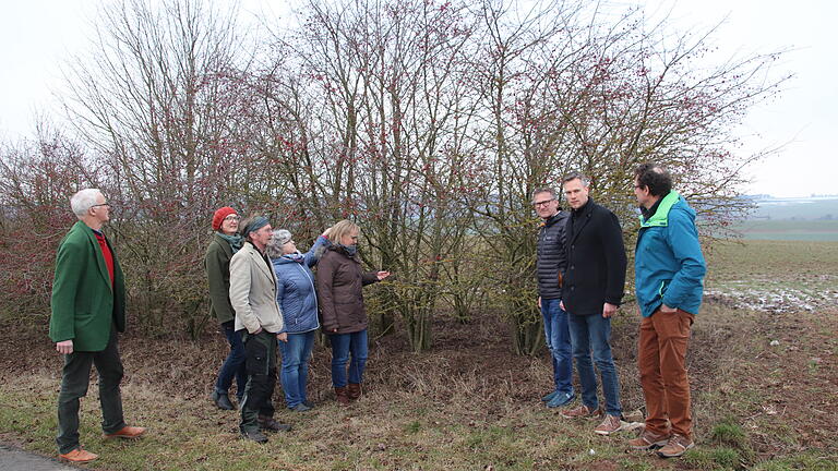 Vorbildlich: Rhön-Grabfelder Biobauern begutachten eine von Klaus Zimmer vor 20 Jahren gepflanzte Hecke an seinem Acker am Lebenhaner Berg. Vorbildlich: Rhön-Grabfelder Biobauern begutachten eine von Klaus Zimmer vor 20 Jahren gepflanzte Hecke an seinem Acker am Lebenhaner Berg.