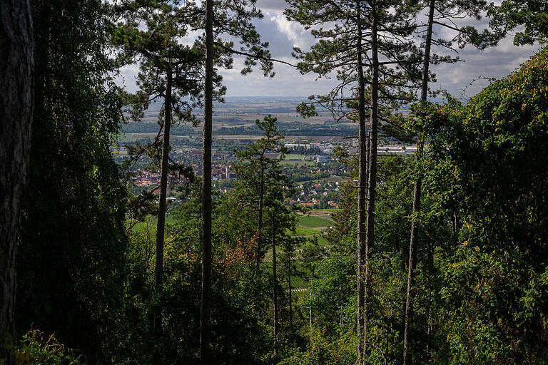 Endlich oben: Auf der Spitze des Schwanbergs gibt schöne Aussichten auf Mainfranken und den Steigerwald.