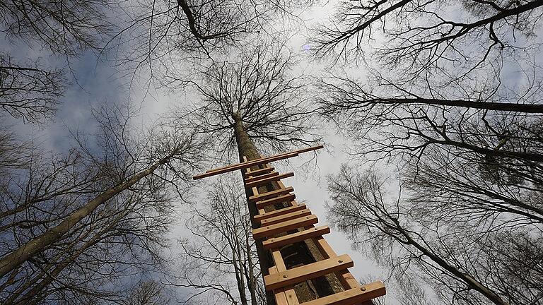 Im Wald für die Seele wird die Seele auf vielfältige Arten angesprochen. Ein Bereich beschäftigt sich mit Spiritualität.