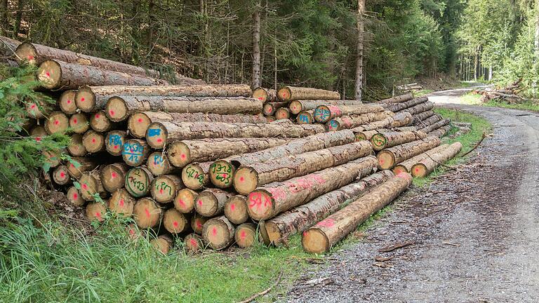 Auch in diesem kämpft der städtische Forstbetrieb wieder gegen den Borkenkäfer.  Rund 7000 Festmeter Schadholz wurden bisher im Rienecker Stadtwald eingeschlagen, berichtete Revierleiter Matthias Schleich dem Stadtrat.