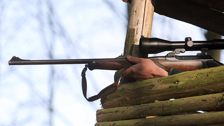 Erneut meldet sich ein Jäger, in dessen Revier Jagdhunde des Staatsforsts eingedrungen sind.