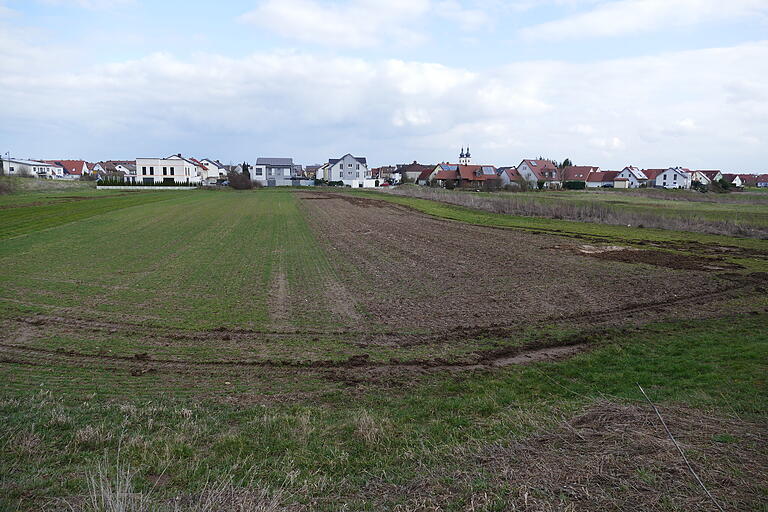 Im Westen Grafenrheinfelds am 'Bauernwehr', zwischen der Staatsstraße nach Bergrheinfeld und dem Adam-Tasch-Weg, soll ein neuer Vollsortimenter entstehen.