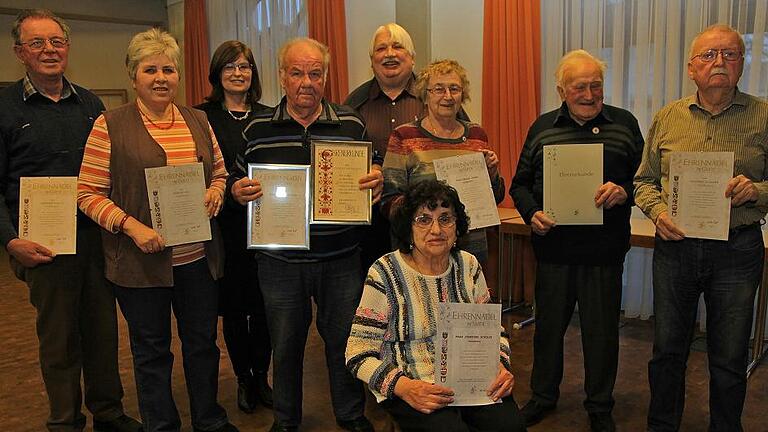 Stets im Einsatz für den Obst- und Gartenbauverein (von links): Gerhard Schulz, Rosi Schulz, stellvertretende Landrätin Karen Heußner, Ehrenmitglied Herbert Eisenbacher, Vorsitzender Werner Boé, Helga Lodko, Josefine Scholze (vorne), Gottfried Schwab und Manfred Öchsner.