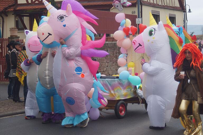 Der Hafenlohrer Faschingszug war bunt.