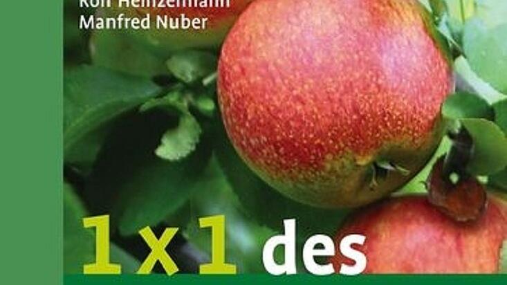 Damit eine Krähe durchfliegen kann       -  Buchtipp