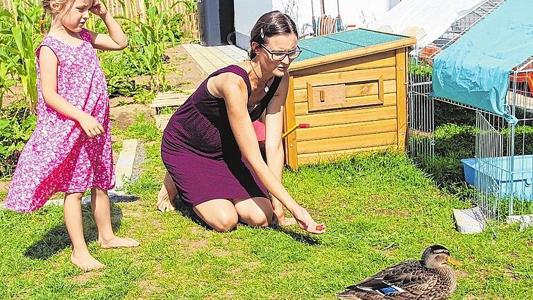 Aus dem Küken von einst ist eine schon fast erwachsene Stockente geworden. Wie es aussieht, wird sie der Familie Drost treu bleiben, die sich liebevoll um das Tier kümmert. Im Bild die Ente mit Christina Drost und der kleinen Alma. Aus dem Küken von einst ist eine schon fast erwachsene Stockente geworden. Wie es aussieht, wird sie der Familie Drost treu bleiben, die sich liebevoll um das Tier kümmert. Im Bild die Ente mit Christina Drost und der kleinen Alma.