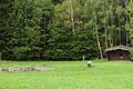 Auf dem früheren Waldspielplatz von Hohenroth soll ein Wald-Boden-Klima Info-Park entstehen.