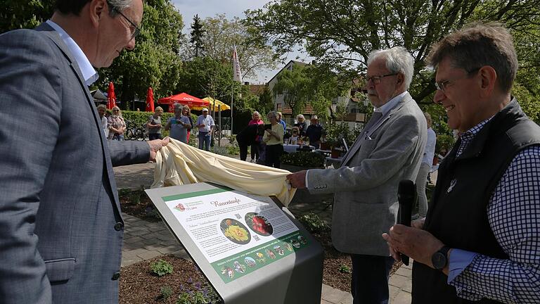 Vorsitzender Burkard Löffler und Altbürgermeister Rainer Kinzkofer (von rechts) enthüllten mit Bürgermeister Jürgen Götz am Rosenbeet ein Schild, das die beiden Rosen 'Schöne Veitshöchheimerin' und 'Heilige Bilhildis' erläutert. Vorsitzender Burkard Löffler und Altbürgermeister Rainer Kinzkofer (von rechts) enthüllten mit Bürgermeister Jürgen Götz am Rosenbeet ein Schild, das die beiden Rosen 'Schöne Veitshöchheimerin' und 'Heilige Bilhildis' erläutert.