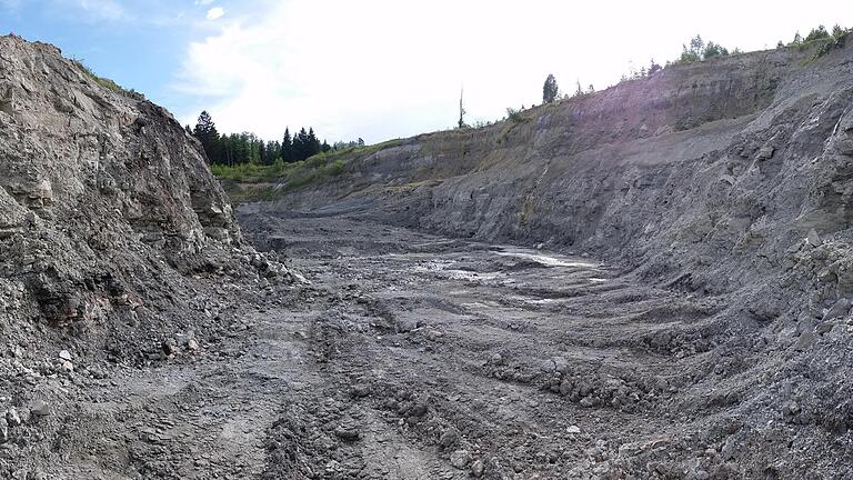Der Fundort Hammerschmiede: in dieser Lehmgrube gab es 11,5 Millionen Jahre alte Tier- und Pflanzenfunde.