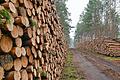 Symbolbild Holz       -  Symbolbild Holz