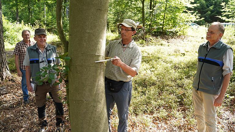 Mit der 'Kluppe' ermittelt Forsteinrichter Paul Gerlach den 

Brusthöhendurchmesser einer Buche. Dies ist ein Teil seiner Aufgaben zur Bestandsaufnahme im Auraer Gemeindeforst für die neue Forsteinrichtung.  Zusammen mit Betriebsleiter Christoph Kirchner (rechts) und Revierleiter Norbert Holzheimer (zweiter von links) stellte Gerlach den Stand der Erhebung vor. Aufmerksamer Beobachter war (hinten links) Bürgermeister Wolfgang Blum.