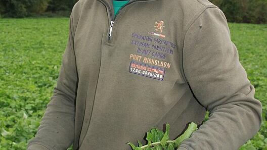 Er ist gerne Landwirt, die jüngsten Entwicklungen beunruhigen ihn allerdings: Simon Weckert auf seinem Feld bei Düllstadt, auf dem er zur Winterbegrünung Ölrettich anbaut.