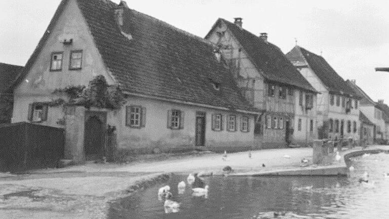 Für Groß- und Kleineibstadt plant Kreisheimat- und Archivpfleger Reinhold Albert eine Dorfchronik. Darin wird er die Geschichte beider Ortsteile, aber auch Brauchtum, historische Bilder und vieles mehr aufarbeiten. Dazu gehören ganz sicher historische Aufnahmen, wie hier die Weth mit dem Gänseweiher.