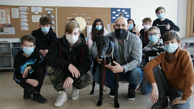 Alexander Kociper und die Schüler der 7b der Mittelschule Bad Brückenau lieben Charlie. Der Greyhound bringt Abwechslung, aber auch Ruhe in den Schulalltag. Foto: Steffen Standke - Alexander Kociper und die Schüler der 7b der Mittelschule Bad Brückenau lieben Charlie. Der Greyhound bringt Abwechslung, aber auch Ruhe in den Schulalltag. Foto: Steffen Standke Alexander Kociper und die Schüler der 7b der Mittelschule Bad Brückenau lieben Charlie. Der Greyhound bringt Abwechslung, aber auch Ruhe in den Schulalltag. Foto: Steffen Standke - Alexander Kociper und die Schüler der 7b der Mittelschule Bad Brückenau lieben Charlie. Der Greyhound bringt Abwechslung, aber auch Ruhe in den Schulalltag. Foto: Steffen Standke