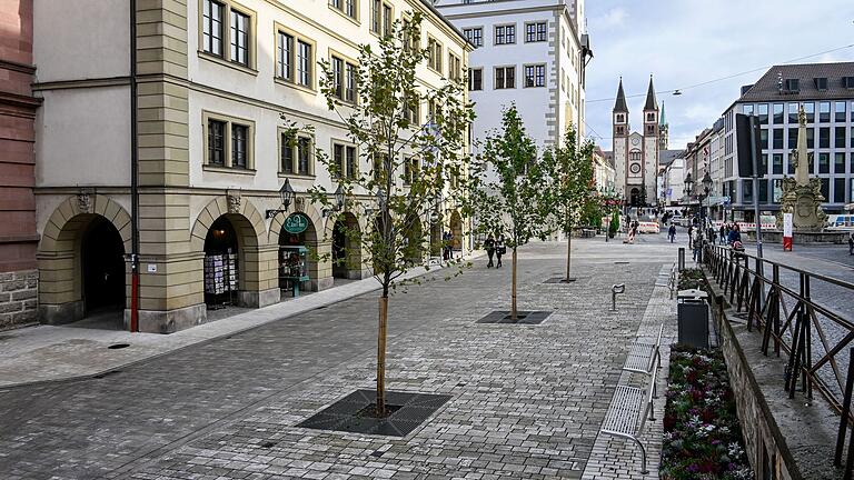 Drei neue Bäume im Rahmen der Umgestaltung des Würzburger Rathausvorplatzes sorgten für Diskussionen. Drei neue Bäume im Rahmen der Umgestaltung des Würzburger Rathausvorplatzes sorgten für Diskussionen.