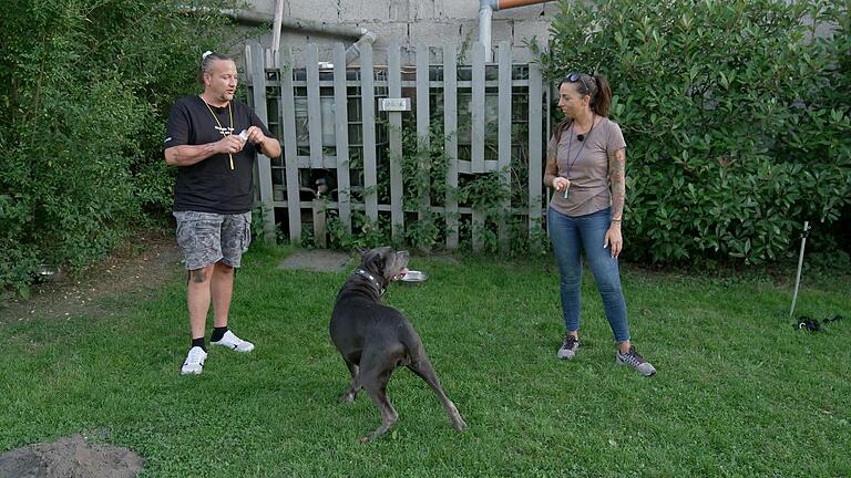 Hundetrainerin Ellen de Sousa Marques bringt Jürgen und Daniela bei, wie sie Yvi richtig erziehen können. Hundetrainerin Ellen de Sousa Marques bringt Jürgen und Daniela bei, wie sie Yvi richtig erziehen können.