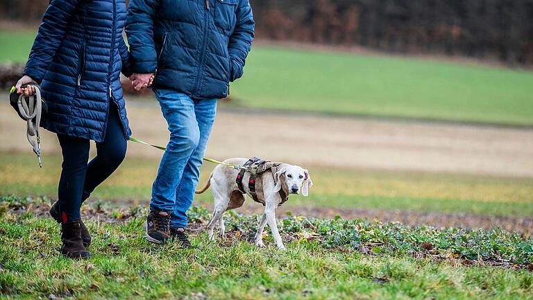 Lana, die zweite Hündin der Familie, würde aktuell nach Mila suchen. Lana, die zweite Hündin der Familie, würde aktuell nach Mila suchen.