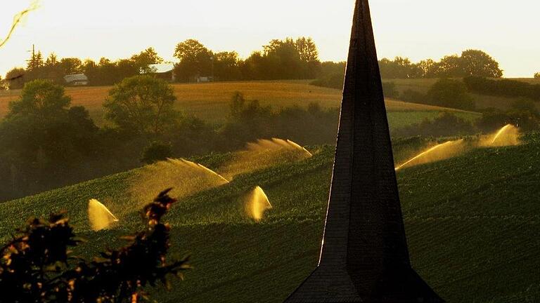 Die erste große Hitzewelle hat Mainfranken erreicht. Immer mehr Weinberge &ndash; wie hier in Segnitz (Lkr. Kitzingen) &ndash; müssen bewässert werden.