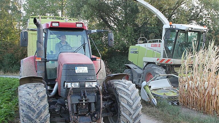 BBV mahnt größte Vorsicht im Maisfeld an       -  Die Maisernte ist derzeit nicht ungefährlich. Der Bayerische Bauernverband hat die Landwirte wegen der Metallschrauben und Glasflaschen an den Pflanzen zu größter Vorsicht aufgerufen.