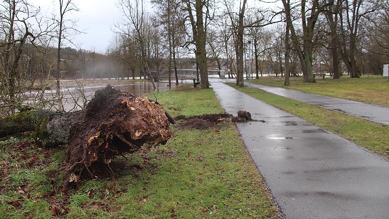 In Bad Neustadt zwischen Brend und Saale am Schillerhain riss der Sturm einen Baum um.