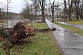 In Bad Neustadt zwischen Brend und Saale am Schillerhain riss der Sturm einen Baum um.