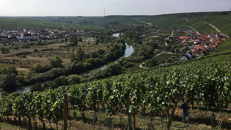 Für die Ortschaften und deren Bewohner entlang des Altmains hätte eine Renaturierung der Flussauen Auswirkungen. Der Blick von der Vogelsburg Richtung Südwesten über die Weinberge zeigt Nordheim (links im Bild) und auf der anderen Mainseite Escherndorf.