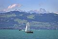 Bodensee bei Bregenz mit Blick auf Appenzell und Säntis       -  Im Bodensee sind zwei Leichen entdeckt worden.