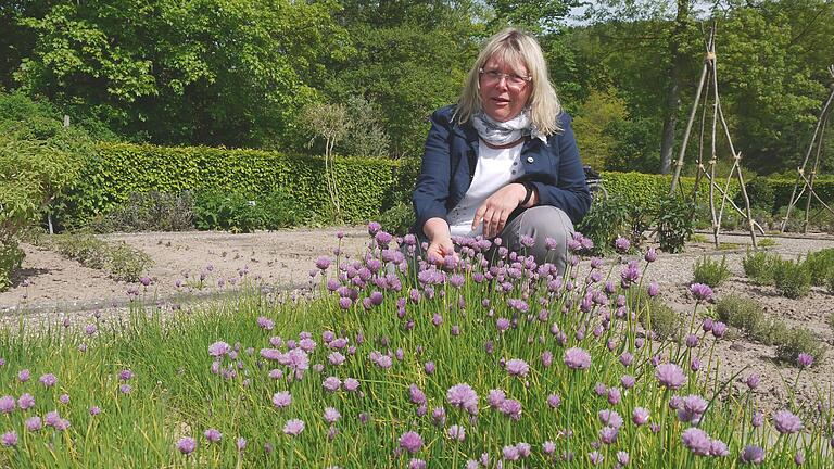 Kräuterführerin Jutta Vogt am Schnittlauch-Beet im Kräutergarten des Staatsbades Brückenau. Die lila Blüten eignen sich als essbare Dekoration. Foto: Rebecca Vogt       -  Kräuterführerin Jutta Vogt am Schnittlauch-Beet im Kräutergarten des Staatsbades Brückenau. Die lila Blüten eignen sich als essbare Dekoration. Foto: Rebecca Vogt