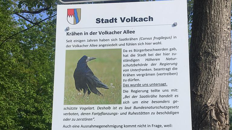 Krähen stehen auf der Roten Liste der bedrohten Tiere in Bayern. Die Krähen-Tafel erläutert, warum die Vögel nicht vertrieben werden dürfen.