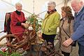 'Dreh dich, dreh dich Rädchen. Johanna Schwethelm ließ beim Herchsheimer Spinnrädlesmarkt ihr Spinnrad schnurren