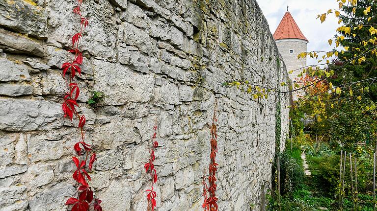Efeu rankt sich malerisch entlang der Stadtmauer, ist aber ein echter 'Mauerkiller'. Efeu rankt sich malerisch entlang der Stadtmauer, ist aber ein echter 'Mauerkiller'.