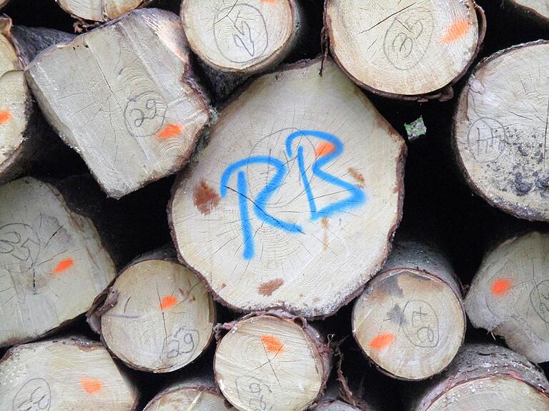 'RB' hat das Holz gekauft. Die Zahlen im Kreis verraten den Durchmesser der Stämme.