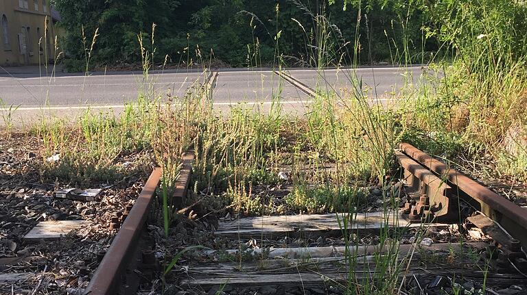 Ein Bahnübergang in Gerolzhofen: Vor einer Wiederinbetriebnahme der Strecke müssten an vielen Stellen die Gleisanlagen komplett erneuert werden. Die Holzschwellen sind längst verrottet.&nbsp;