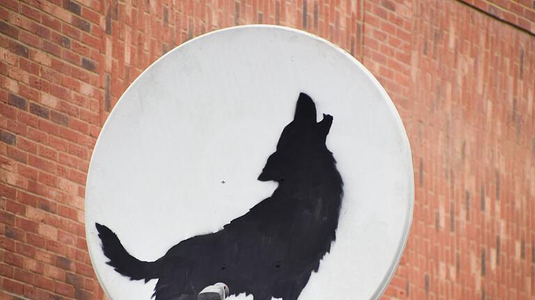 Banksy enthüllt neues Kunstwerk       -  Die Satelliten-Schüssel mit dem heulenden Wolf verschwand kurz nachdem sie aufgetaucht war.