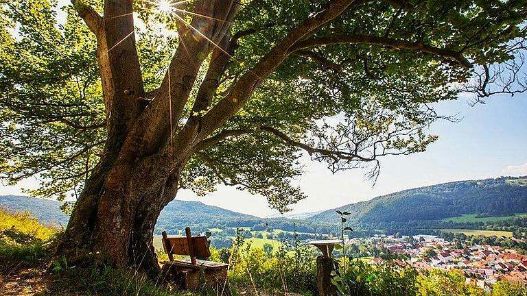 Rastplatz mit Aussicht am Hexenpfad. Der Weg bei Fischbach ist ein lohnenswertes Wanderziel in der Rhön und jetzt als Deutschlands schönster Wanderweg nominiert.