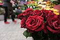 Valentinstag       -  Besonders rote Rosen sind am Valentinstag beliebt.