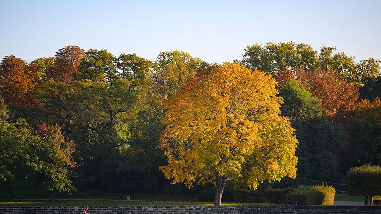 Herbst in Sachsen       -  Mehr als 20 Grad sagt der Deutsche Wetterdienst (DWD) für das Wochenende vorher.