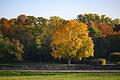 Herbst in Sachsen       -  Mehr als 20 Grad sagt der Deutsche Wetterdienst (DWD) für das Wochenende vorher.