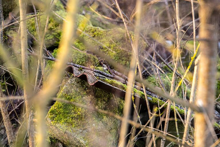 Unscheinbarer als viele andere Teile, die im Wald liegen, aber aus Sicht des Umweltschutzes nicht weniger bedenklich: Liegt hier eine Asbestplatte? Unscheinbarer als viele andere Teile, die im Wald liegen, aber aus Sicht des Umweltschutzes nicht weniger bedenklich: Liegt hier eine Asbestplatte?