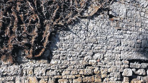 Löchrig: Dieses Teilstück der Sommerhäuser Stadtmauer im Georg-Koberer-Weg muss erst noch saniert werden.