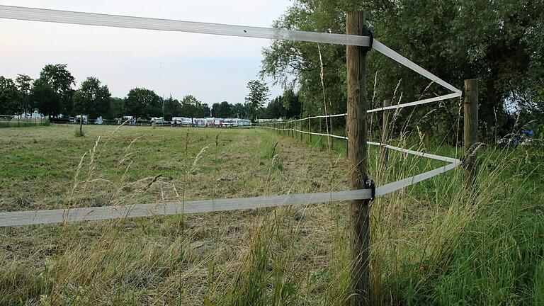 Auf dieser Pferdekoppel am Mainufer südlich des Schwarzenauer Campingplatzes wird im Zuge der Dorferneuerung eine Freizeit- und Erholungsfläche mit Obstbäumen, Spielgeräten und Ruhebänken entstehen.