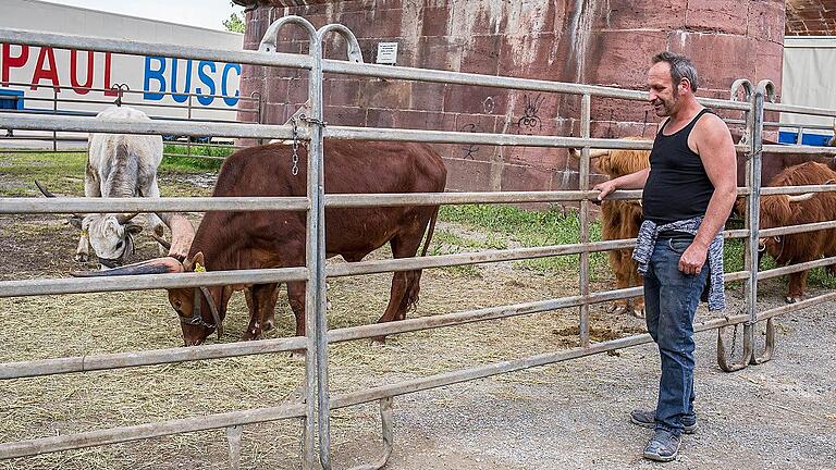 Der Circus Paul Busch hat ein Gehege für seine Tiere unter der Alten Mainbrücke in Lohr angelegt.