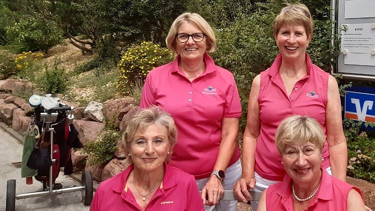 Bereits zum 11. Mal findet am 18. August das Pink Ribbon-Turnier im Golfclub Main-Spessart statt. Das Bild zeigt (hinten links) Renate Stürmer, Maria Schmidt-Fromm, (vorne links) Eva Schlehahn und Gabriele Krista.