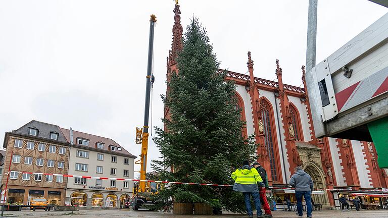 Der Weihnachtsbaum auf dem Marktplatz läutet offiziell die Vorweihnachtsstimmung in Würzburgs Innenstadt ein.