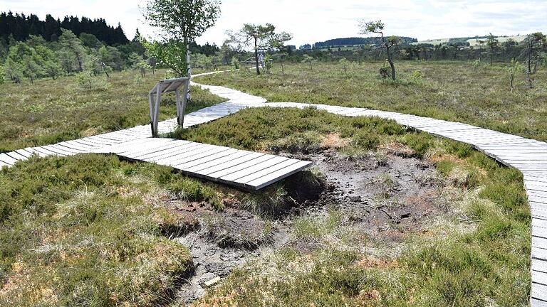 Auch das Schwarze Moor in der Rhön leidet unter den Auswirkungen des Klimawandels. Auch das Schwarze Moor in der Rhön leidet unter den Auswirkungen des Klimawandels.