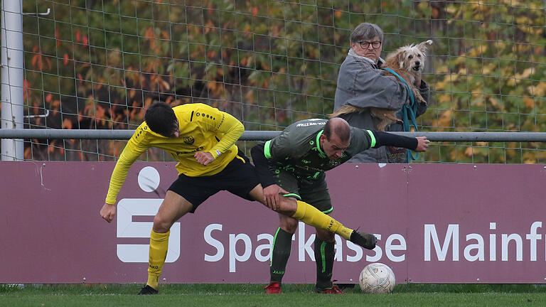 Wau, wau: Ein intensiver Zweikampf an der Seitenlinie: Der Neuhüttener Lucas Wirzberger (graues Trikot) will Fabio Volderauer vom TSV Eisingen das runde Leder nicht kampflos überlassen. Wau, wau: Ein intensiver Zweikampf an der Seitenlinie: Der Neuhüttener Lucas Wirzberger (graues Trikot) will Fabio Volderauer vom TSV Eisingen das runde Leder nicht kampflos überlassen. 