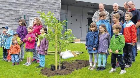 Baumpflanzung an der Grundschule: (von links) Matthias Loschert, ehemaliger Bürgermeister von Steinfeld, Jean-Michel Gamarra, Vorsitzender des Partnerschaftskomitees Chauvigné, Andreas Seufert, Mitglied des Steinfelder Partnerschaftskomitees sowie Bürgermeister Henri Rault von Chauvigné mit Kindern aus beiden Orten.