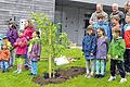 Baumpflanzung an der Grundschule: (von links) Matthias Loschert, ehemaliger Bürgermeister von Steinfeld, Jean-Michel Gamarra, Vorsitzender des Partnerschaftskomitees Chauvigné, Andreas Seufert, Mitglied des Steinfelder Partnerschaftskomitees sowie Bürgermeister Henri Rault von Chauvigné mit Kindern aus beiden Orten.