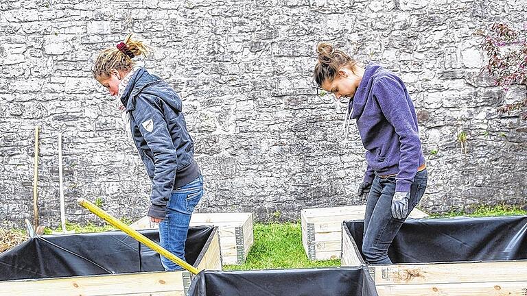 Beim Stampfen: Steffi Paul und Sylvia Appel treten trockenes Pflanzenmaterial am Boden der selbstgezimmerten Hochbeete fest. Beim Stampfen: Steffi Paul und Sylvia Appel treten trockenes Pflanzenmaterial am Boden der selbstgezimmerten Hochbeete fest.